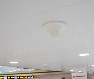 企业微信截图_17536934355243