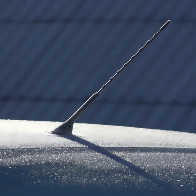 Antenne fouet pour automobiles