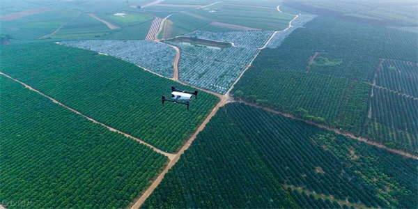 Transport express par drone