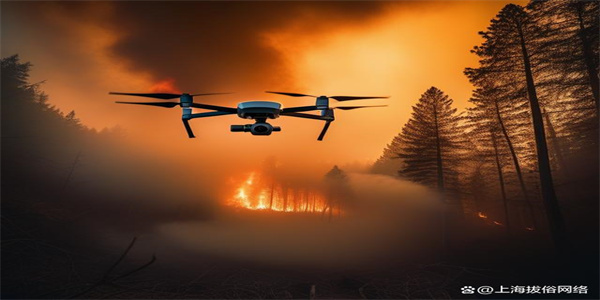 Pr&eacute;vention des incendies de for&ecirc;t par drone