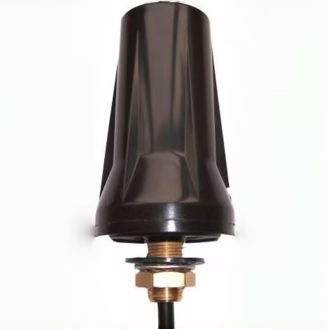 Câble RG58 Antenne à vis 4G avec radôme ABS pour appareils IoT GL-DY023 